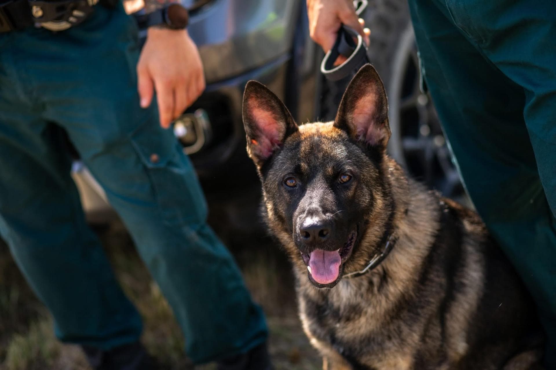 Мотокрос Девня